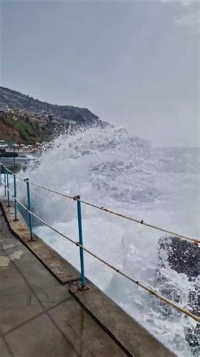 Maderia "The Hawaii of Europe" 💚 #maderia #paradise #sweetchestnut #walking #portugal #views