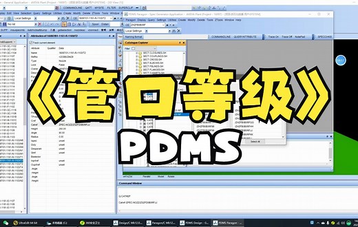 PDMS管口等级