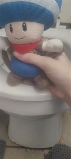 how blue toad laft the Bahamas.