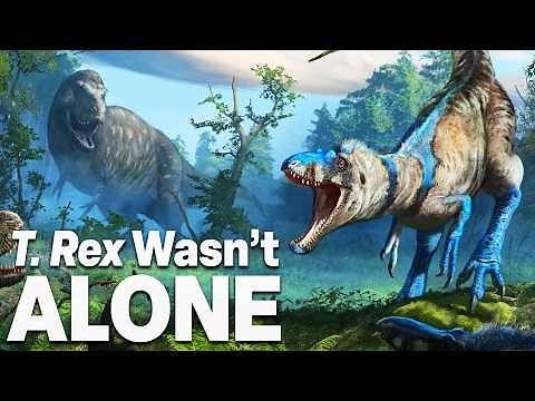 Why Nanotyrannus Was Real - EXPLAINED