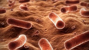 Live Bacteria Reproduce Stock Footage Video (100% Royalty-free) 984190 | Shutterstock