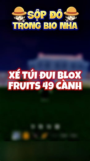 Review Nhanh Túi Mè 49 Có Tộc V4 Víp Fg #roblox #robloxshorts #bloxfruits #shopacc69 #games #reels