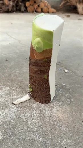 Video của bubble summer (@bubblesummer_k) với bản nhạc original sound - bubble summer