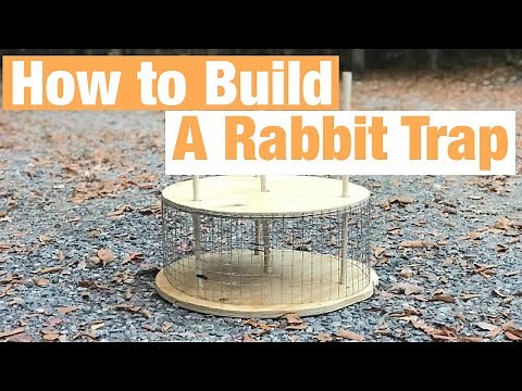 Homemade rabbit trap Cheese Wheel Rabbit trap. How to make a rabbit trap