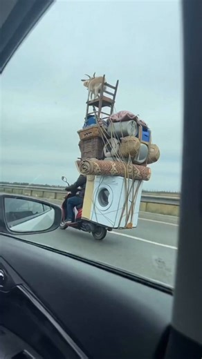 The list of things on this scooter:Washing machineRolled rugsChairBasketsA live goat at the summit...And why does that goat look so calm, this is not his first time😂