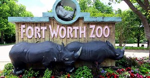 Fort Worth Zoo welcomes sign language interpreters for Deaf Day