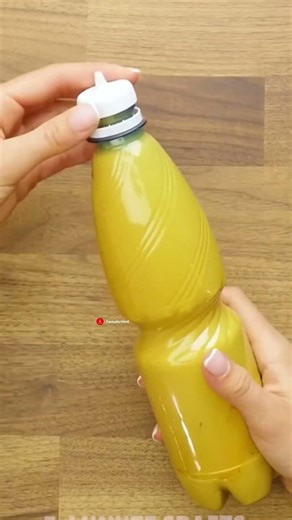 5 Genius Plastic Bottle Hacks You Must Try! ♻️🤯 #shorts