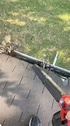 How to clean Gutters 🍂#guttercleaning #pressurewashing