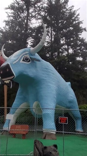 Paul Bunyan & "Babe" the Blue Ox | Klamath California - Redwoods Roadside Attractions AMERICA USA