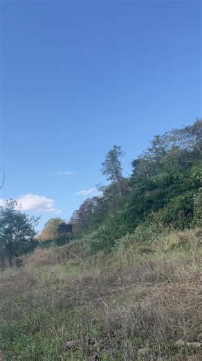 ออกหมายกัน🤣🤣#ไต๋เม่นเบ็ดระเบิด #เหยื่อตกปลาชิปกล้วยหอมน้าเม่นเบ็ดระเบิด #ทีมงานเบ็ดระเบิด #ใต๋เม่นสียัด #อ่างเก็บน้ําคลองสียัด