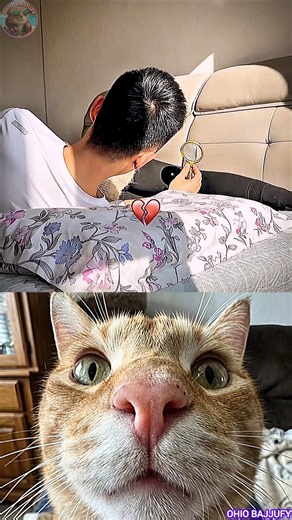 Prank on Sleeping Wife😆