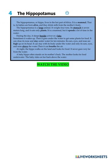 The Hippo online exercise for