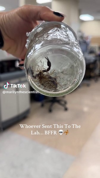 Who Sent This Sample to the Lab? Unusual Discovery!