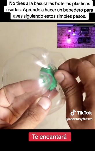 Cómo hacer un bebedero para aves con botellas plásticas