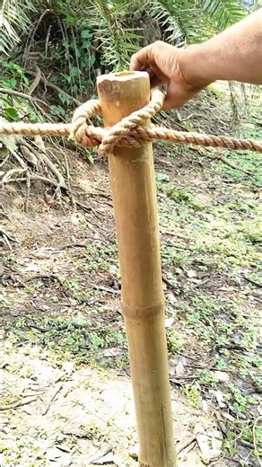 Ultimate Bus Rope Knot Hack Strongest Knot #LifeHacksUSA #EuropeTrends #DIYProjects
