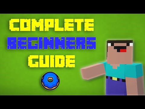 COMPLETE Beginners Guide to Donut SMP!