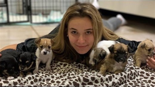 Rescued puppies get their first bath and learn to explore