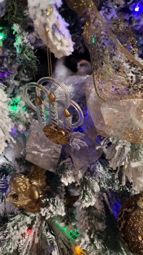 Jeannie Kirby on Reels