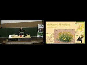 Peter Wetzels - De opwarming betrapt