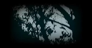 103K views · 5.3K reactions | Rob Zombie on Reels | Facebook