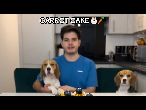 COOKING WITH BEAGLES | Carrot Cake 🎂