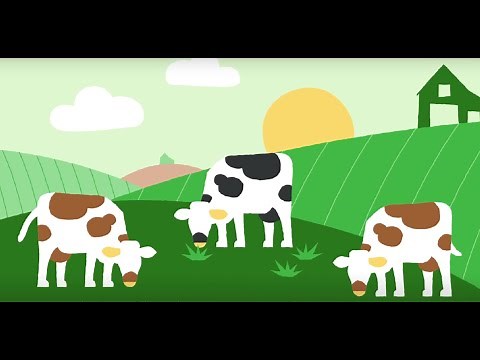 Le label bio : l’essentiel expliqué en 1 min !