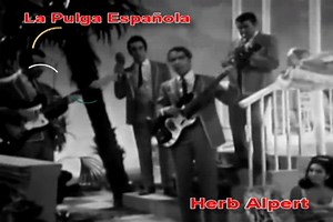 SPANISH FLEA...HERB ALPERT Y SUS TIJUANA BRASS ....LLAMAN MUCHO LA ATENCION CON SU SONIDO LATINO Y FESTIVO A SUS INTERPRETACIONES Y ES EN EL AÑO 1966 CUANDO GRABAN SU PRIMER LP QUE INCLYE ESTA MELODIA QUE SE CONVIERTE EN UN GRAN EXITO Y EL INICIO DE UNA GRAN CADENA DE EXITOS Ver menos | Música, Curiosidades y Diversión