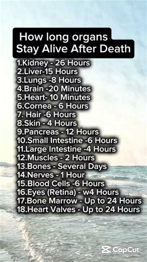 HOW LONG ORGANS STAY ALIVE AFTER DEATH 🤔