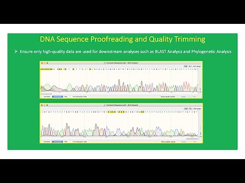 How To Perform DNA Sequence Proofreading and Quality Trimming Using SnapGene Software 👨🏻‍💻🧬👇