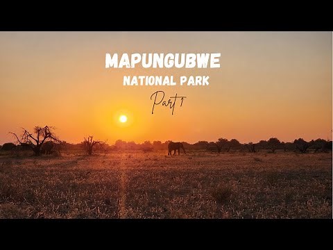 MAPUNGUBWE NATIONAL PARK | Part 1