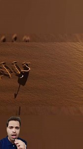 Sidewinder Snake Explained #viralreelsfb #facts #reelsfacebook #factsdaily | Sanjay viral clips