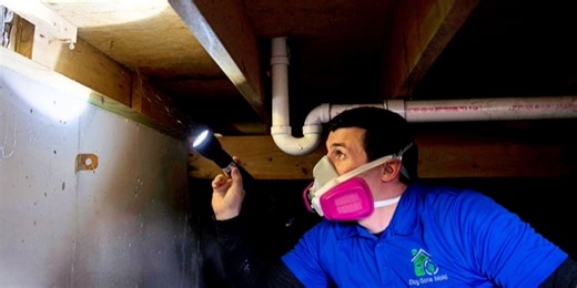 On Your Side: Eliminating mold in your house