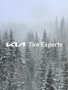 Enjoy flexible payment options on the Winter Ready Bundle. Upgrade the look and improve the fuel efficiency of your Kia EV this winter with tires and durable Premium Alloy Wheels for confident driving all season long. | Kia Canada | Facebook