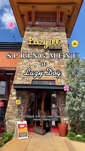 NEW menu additions have landed on our menu! Now you can order our Slow-Cooked Pork Carnitas, Chicken Katsu Sando or Pulled Pork Sandwich! What are you most excited to try? 😋 #lazydogrestaurant #foodstagram #foodie #eeeeats
