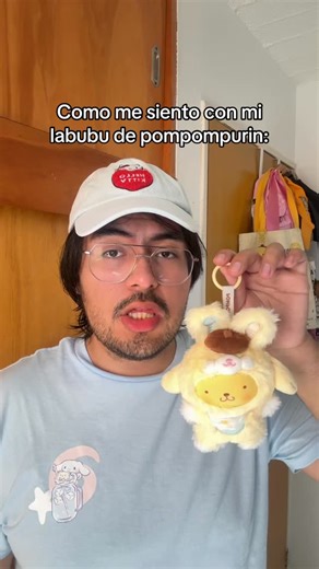 Hello Margo ✨ on Instagram: "Pompompurin el mejor labubu #pompompurin #sanrio #hellokittyandfriends #sanriocharacters #sanriolover #hellokittylover #hellokitty"