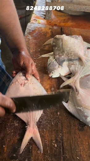 𝗚𝗼𝗼𝗱 𝗳𝗼𝗼𝗱 𝗴𝗼𝗼𝗱 𝗹𝗶𝗳𝗲 🍀 on Instagram: "𝙁𝙤𝙡𝙡𝙤𝙬 ❤️☘️ @tuty_fish_mart"