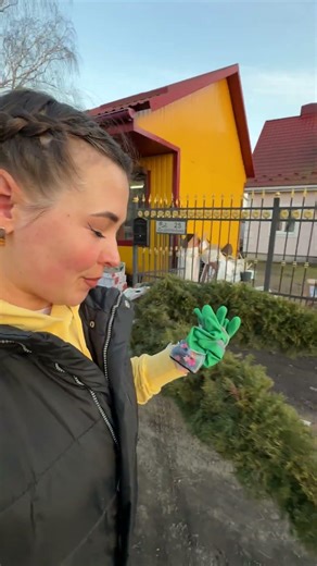 Someone is buying flowers, and I am buying thuja #irysik3076 #tomoyahata