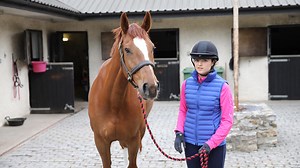 How to stop your horse being pushy on the ground – and train him to stand when tied up