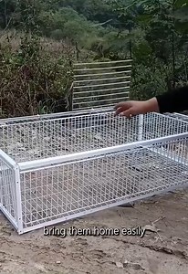 7.1K views · 25 reactions | Big Sale Auto Trap Humane Bird Cage | Decor Dreams | Facebook