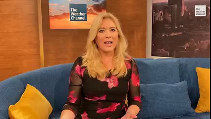 11K views · 65 reactions | Let's settle this: Real tree or artificial tree?  Our meteorologists share their thoughts on that and more this winter ⬇️ | The Weather Channel | Facebook