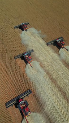 European Farms on Instagram: "Australian farms, predominantly family-owned, cover vast areas, focusing on #livestock (stations), grains, and horticulture, contributing significantly to GDP and exports, with major industries including #cattle , sheep, #wheat , and #dairy leveraging technology for sustainable, large-scale production across diverse landscapes. Key features include large properties (stations), high export value, and a strong focus on innovation and land management, notes #australian