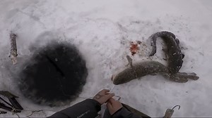 Fishing in Siberia | Холлі