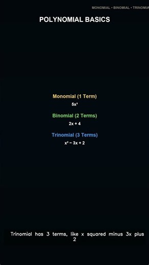 Polynomial Basics Explained | Complete Class 10 Mathematics Lecture