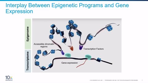 单细胞多组学ATAC GEX方案：实验流程