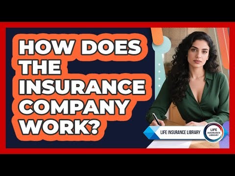 How Does The Insurance Company Work?