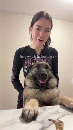 kiera raven (@kieraraven_)’s video of dog man