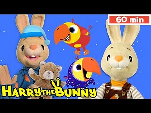 Harry & Larry's BEDTIME ADVENTURES Teach PREPOSITIONS & NUMBERS