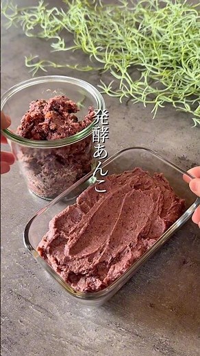 発酵あんこ #簡単レシピ #無添加 #無添加 #おうちカフェ #腸活