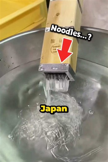 🇯🇵🍿 #japan #learningontiktok #culture #trip #tiktokgrowthchallenge | Visiting Japan
