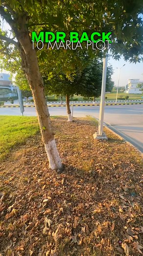 42 reactions · 12 comments | 10 Marla main double road back plot available for sale in Block B Multi Gardens B-17 Islamabad. For more details contact us 03175511223. #plot #forsale #realestate #b17islamabad #plotforsale | ZARRAR.pk | Facebook